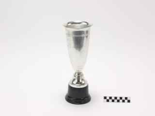 NAGRODA SPORTOWA PUCHAR STATUETKA