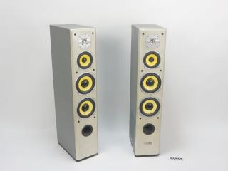 FLOOR STANDING SPEAKERS