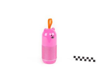 RADIO BLUETOOTH SPEAKER