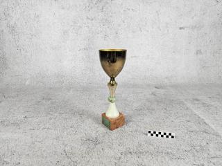 NAGRODA SPORTOWA PUCHAR STATUETKA
