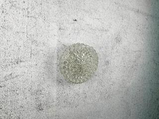 PLAFOND