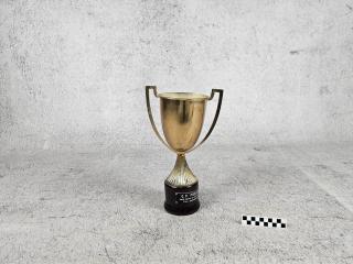 NAGRODA SPORTOWA PUCHAR STATUETKA