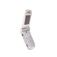 telefon komórkowy Samsung SGH-C100.