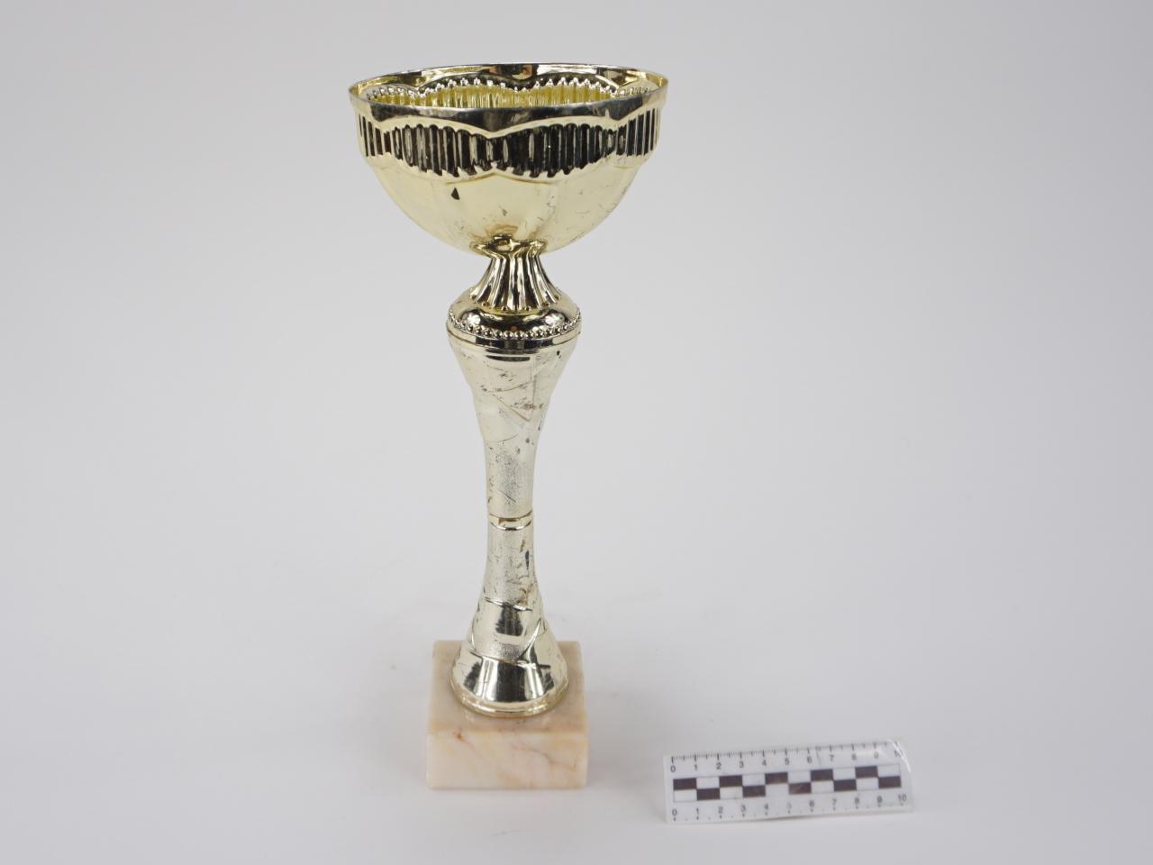 NAGRODA SPORTOWA PUCHAR STATUETKA