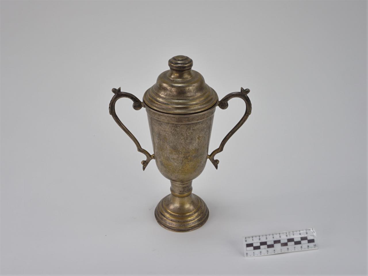 NAGRODA SPORTOWA PUCHAR STATUETKA