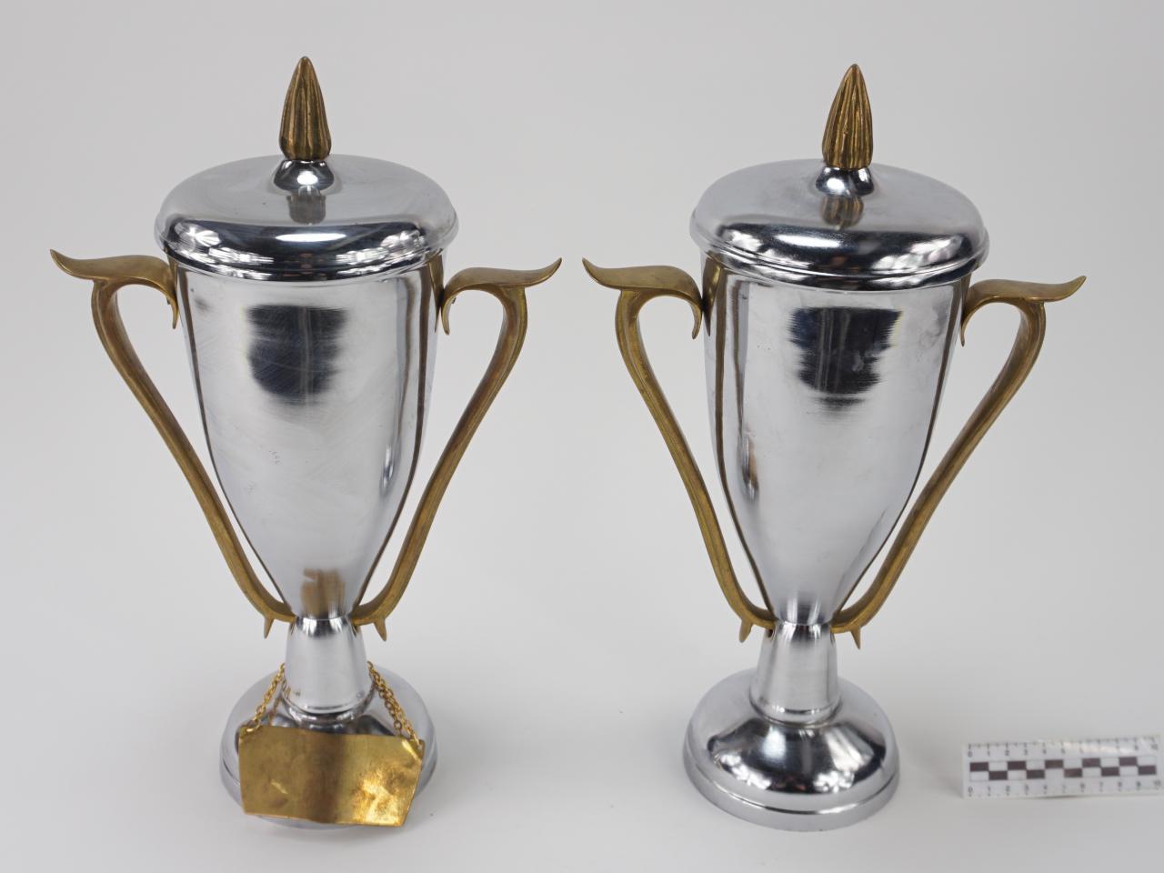 NAGRODA SPORTOWA PUCHAR STATUETKA 