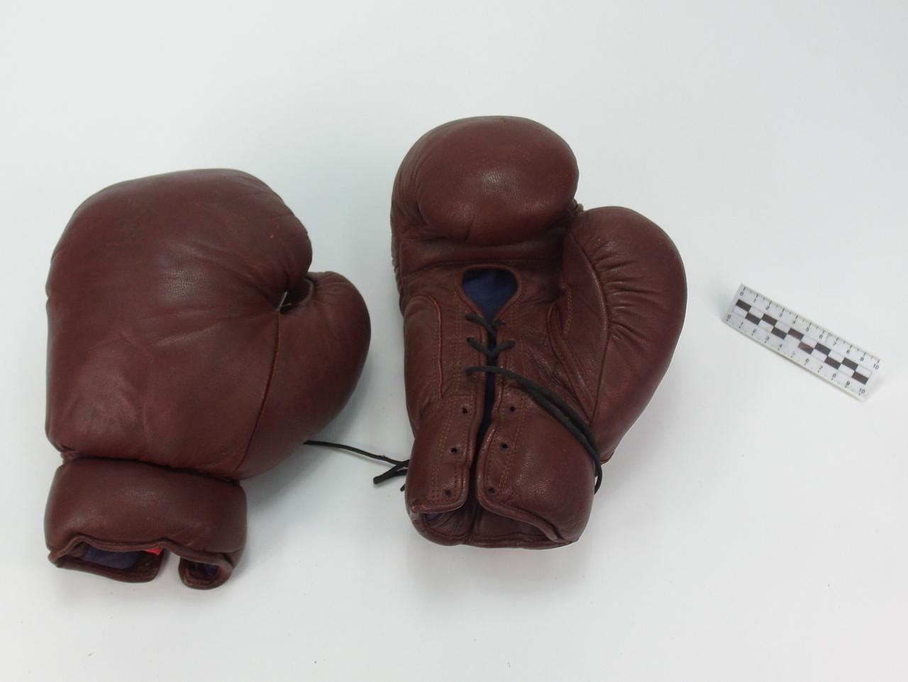 RĘKAWICE BOKSERSKIE