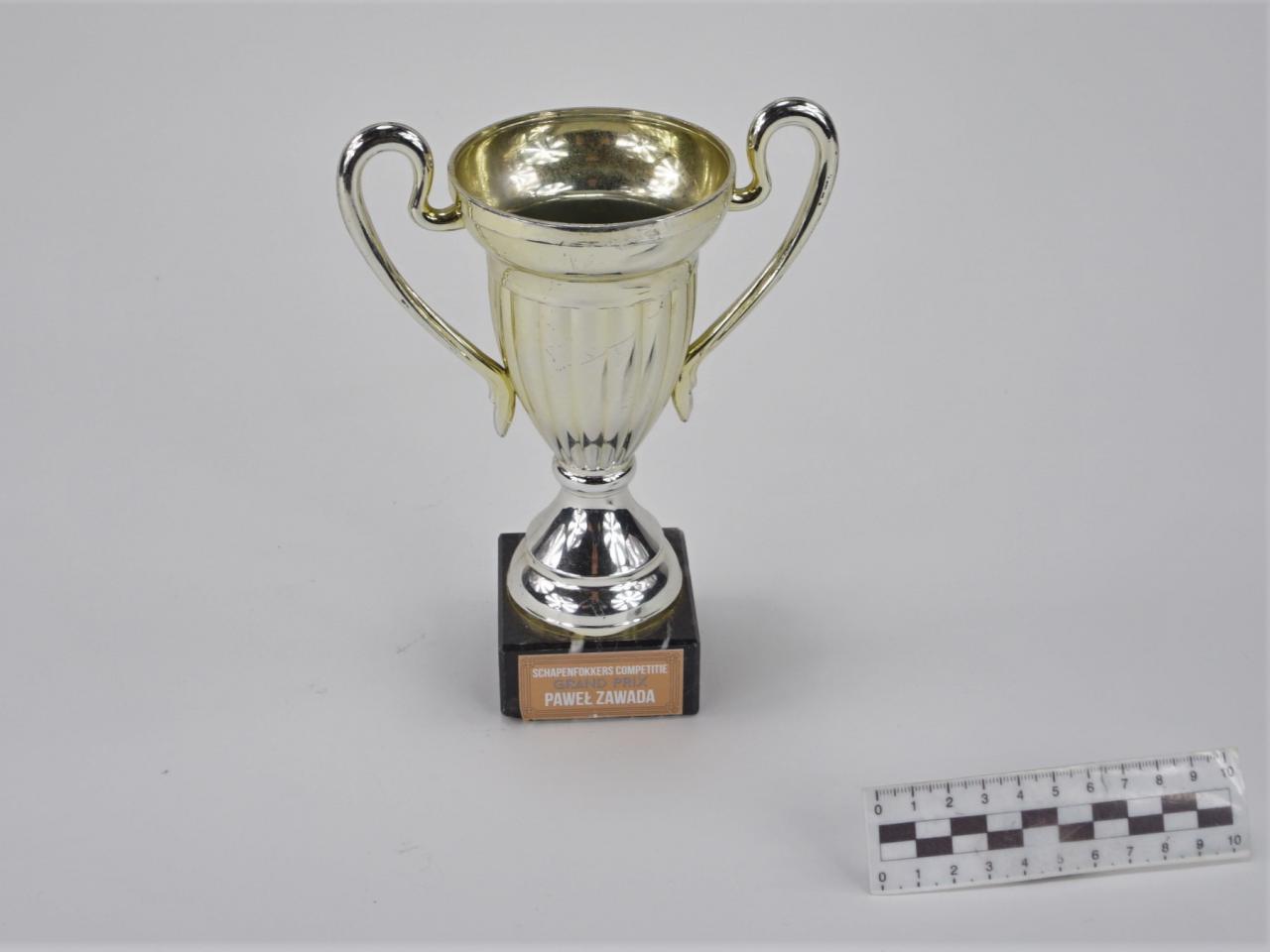 NAGRODA SPORTOWA PUCHAR STATUETKA