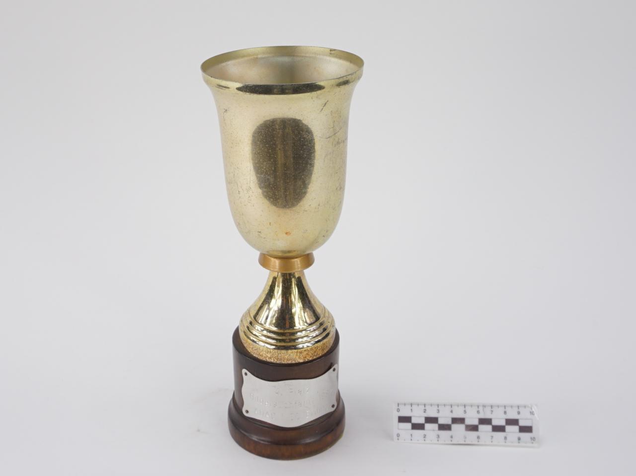 NAGRODA SPORTOWA PUCHAR STATUETKA