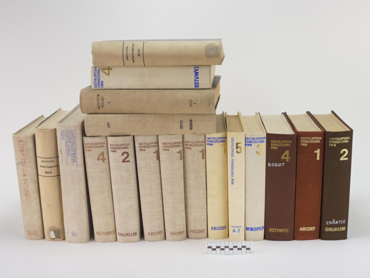 KSIĄŻKA KSIĄŻKI LEKSYKON 