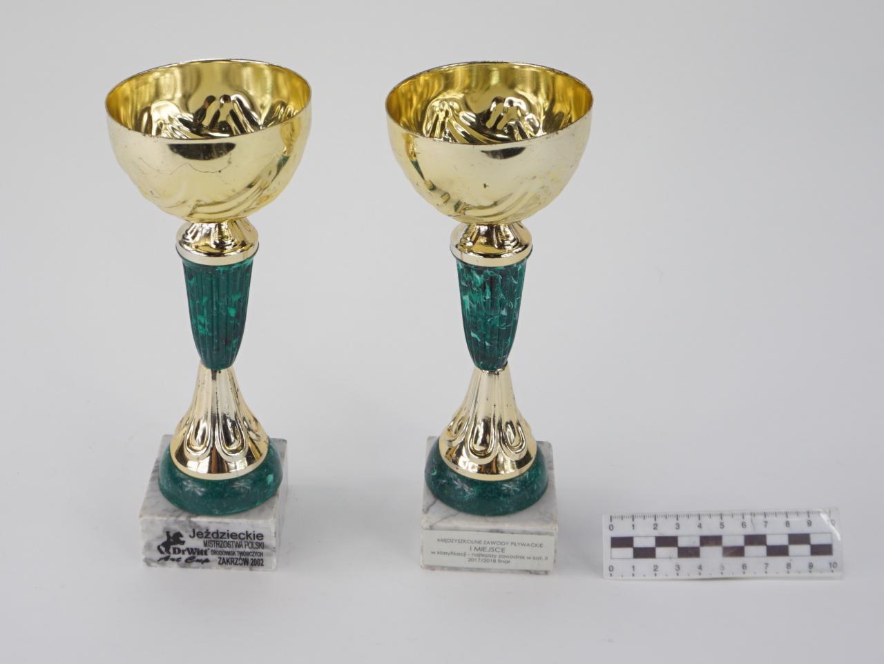 NAGRODA SPORTOWA PUCHAR STATUETKA