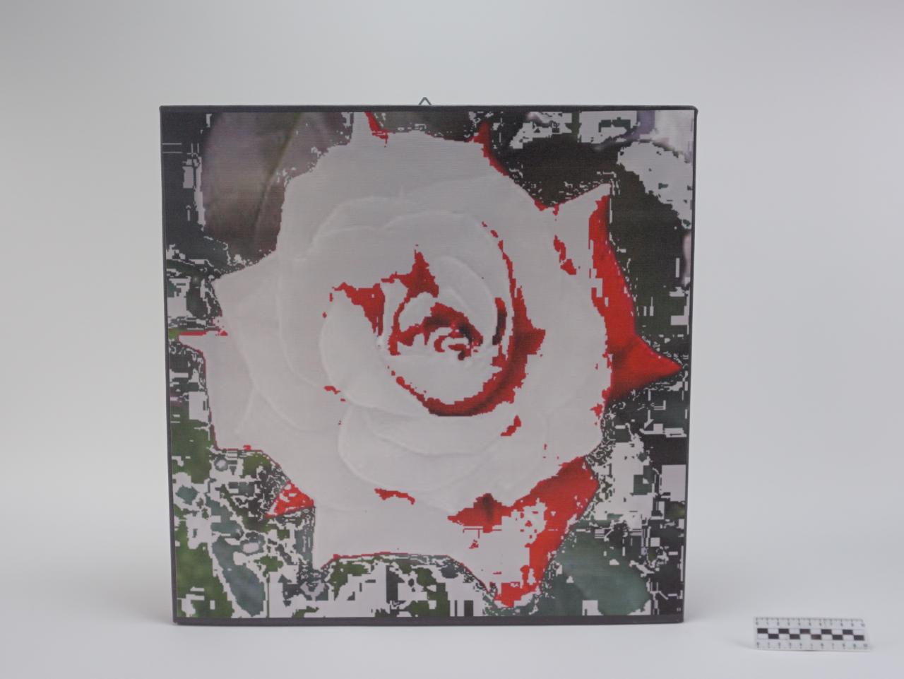 OBRAZ PRACA Z PRAWAMI AUTORSKIMI