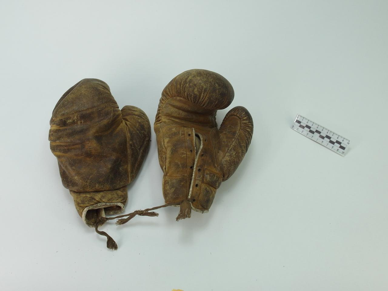 RĘKAWICE BOKSERSKIE