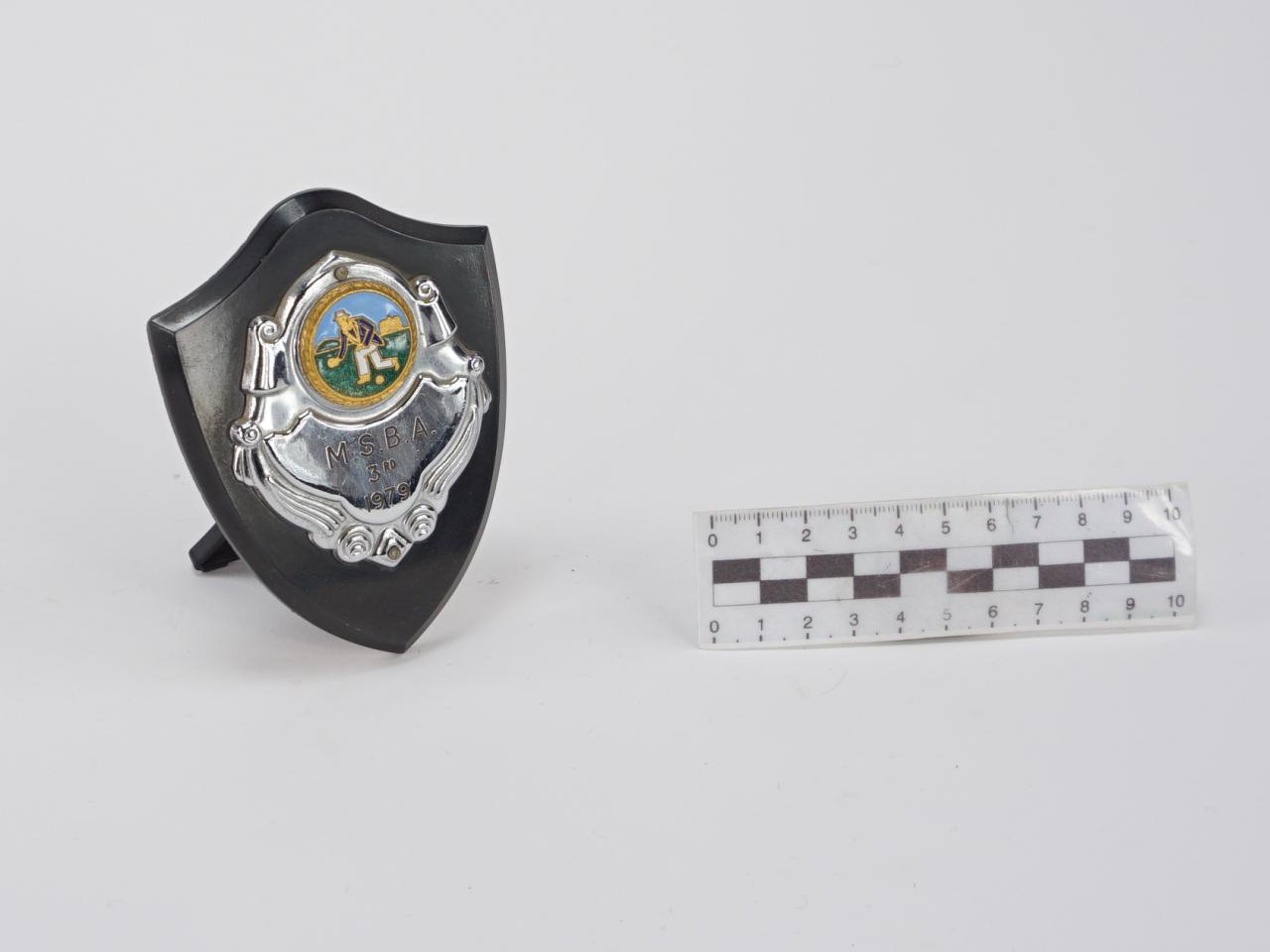 NAGRODA SPORTOWA PUCHAR STATUETKA