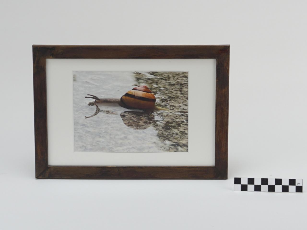 OBRAZ PRACA Z PRAWAMI AUTORSKIMI