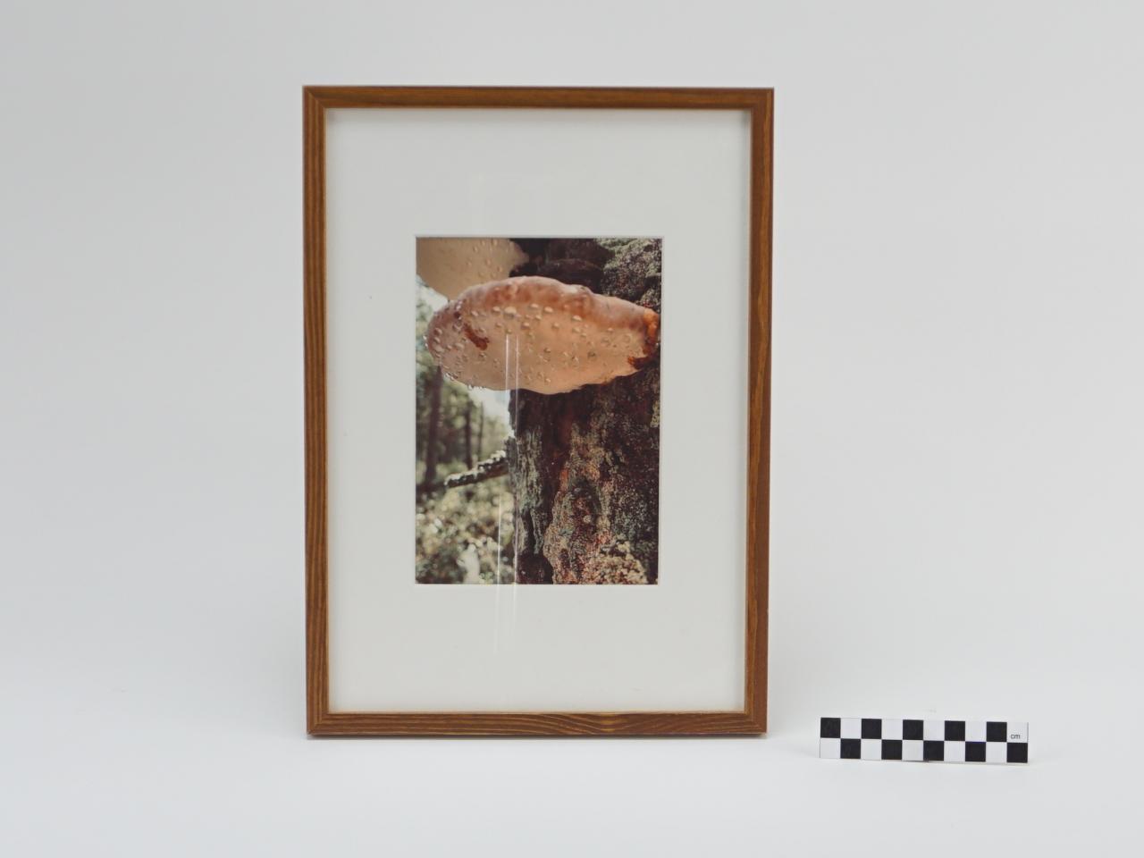 OBRAZ PRACA Z PRAWAMI AUTORSKIMI