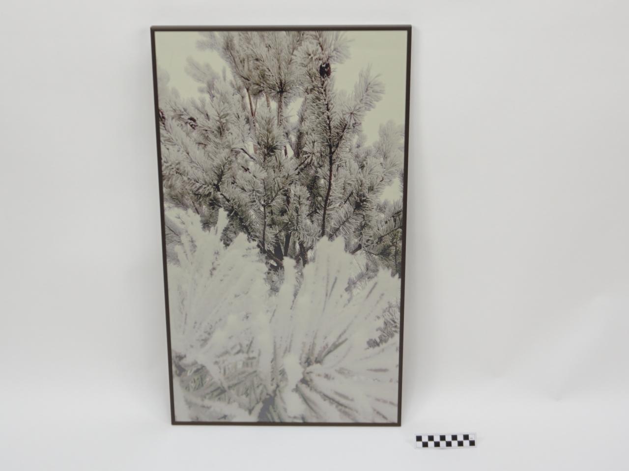 OBRAZ PRACA Z PRAWAMI AUTORSKIMI