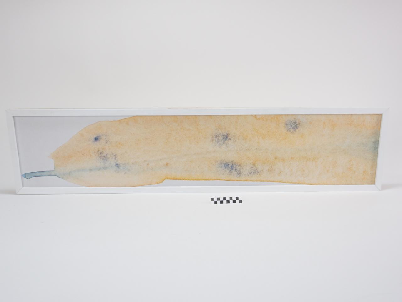 OBRAZ PRACA Z PRAWAMI AUTORSKIMI