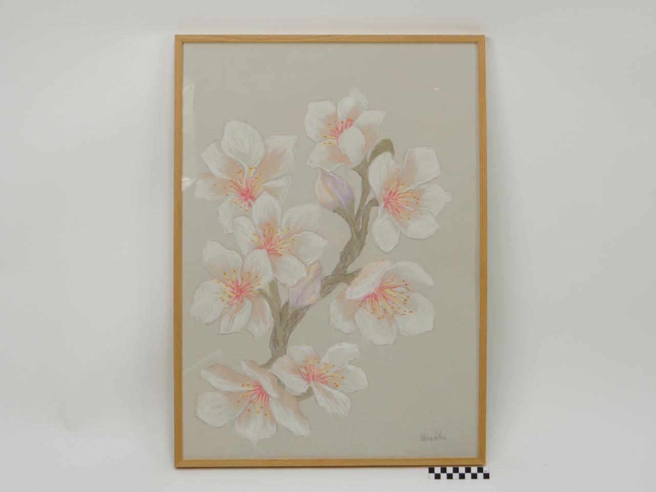 OBRAZ PRACA Z PRAWAMI AUTORSKIMI