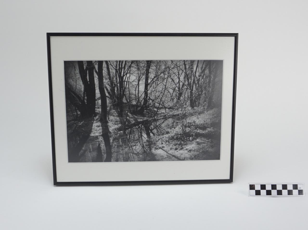 OBRAZ PRACA Z PRAWAMI AUTORSKIMI