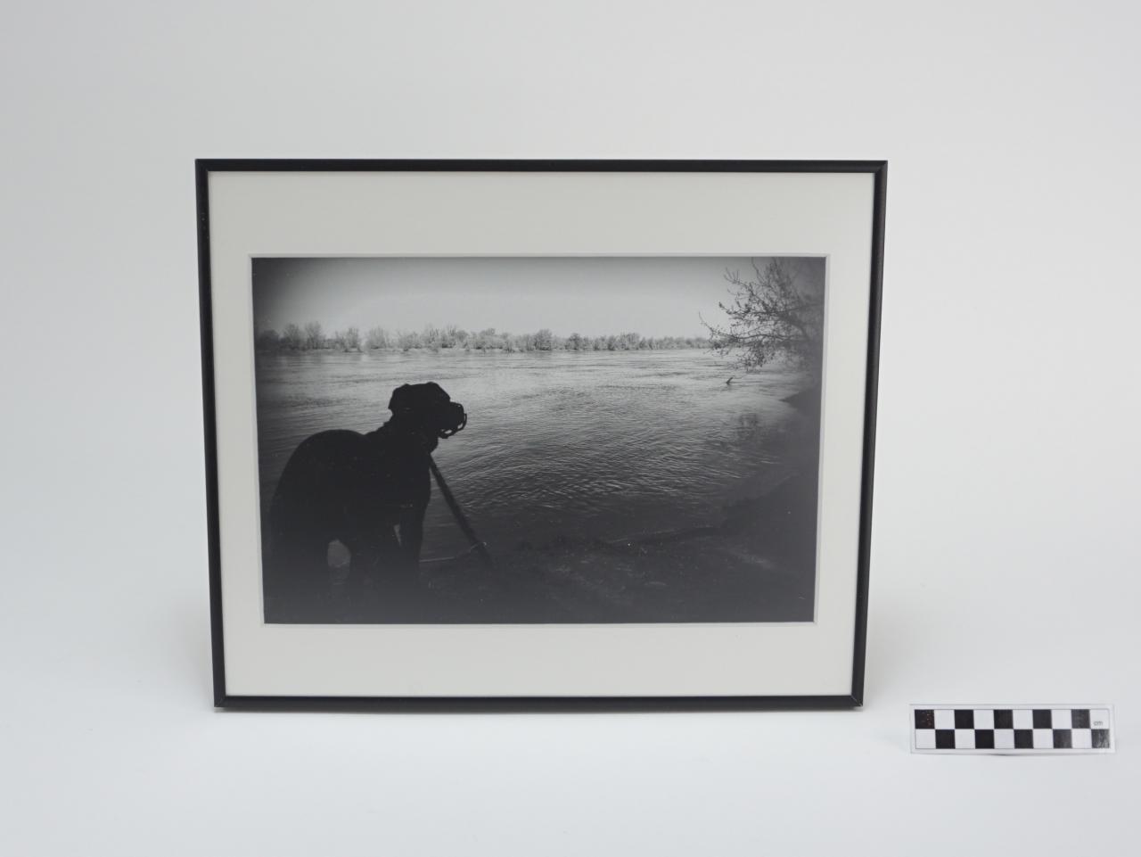 OBRAZ PRACA Z PRAWAMI AUTORSKIMI