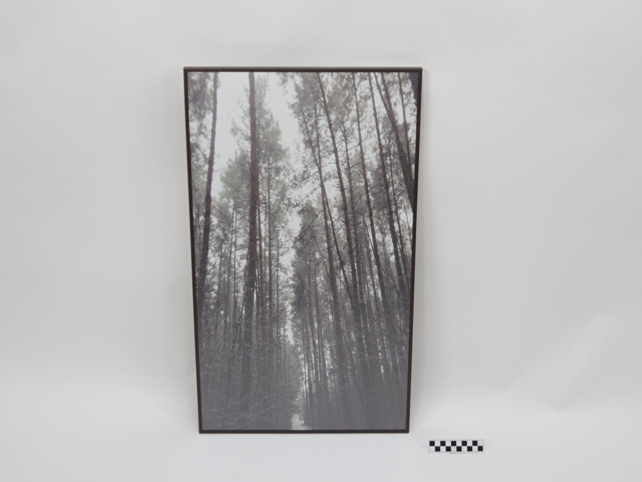 OBRAZ PRACA Z PRAWAMI AUTORSKIMI