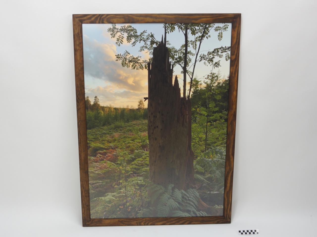 OBRAZ PRACA Z PRAWAMI AUTORSKIMI