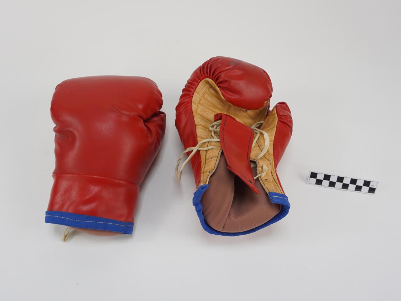 RĘKAWICE BOKSERSKIE