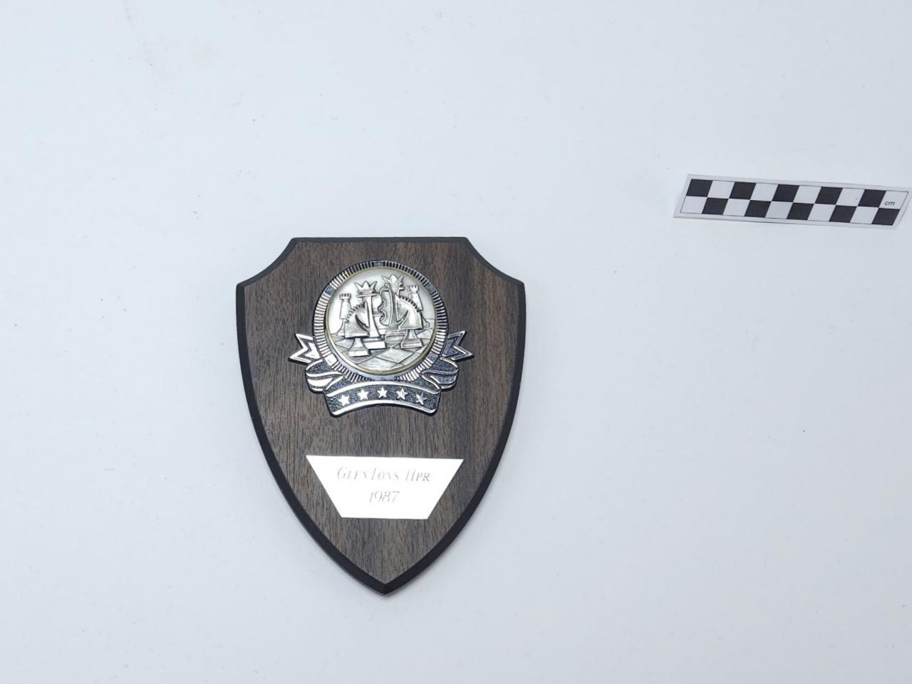 NAGRODA SPORTOWA PUCHAR STATUETKA