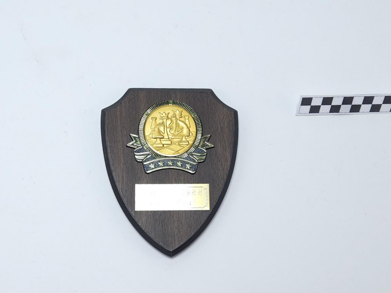 NAGRODA SPORTOWA PUCHAR STATUETKA