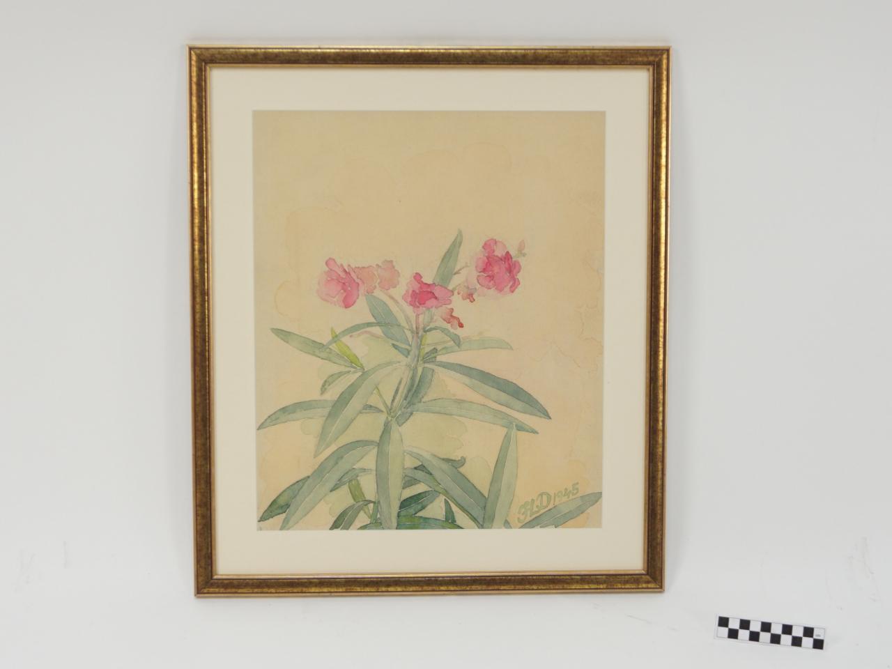 OBRAZ PRACA Z PRAWAMI AUTORSKIMI