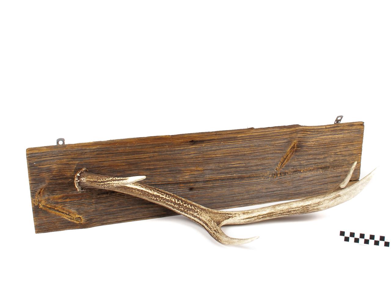 POROŻE ROGI TROFEUM