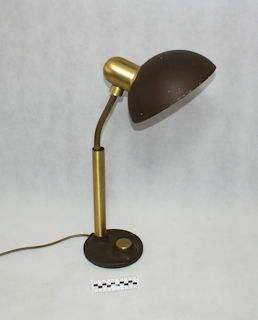 LAMPA BIURKOWA