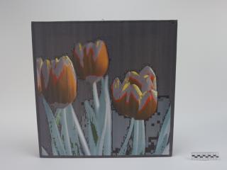 OBRAZ PRACA Z PRAWAMI AUTORSKIMI