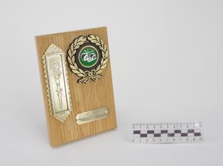 NAGRODA SPORTOWA PUCHAR STATUETKA