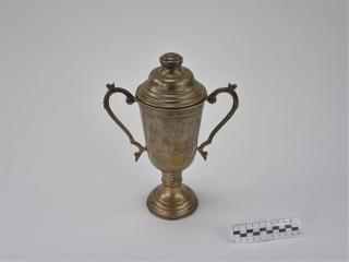 NAGRODA SPORTOWA PUCHAR STATUETKA