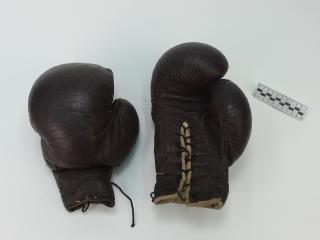 RĘKAWICE BOKSERSKIE