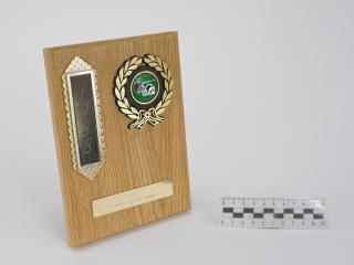 NAGRODA SPORTOWA PUCHAR STATUETKA