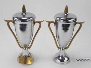 NAGRODA SPORTOWA PUCHAR STATUETKA 