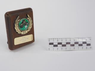 NAGRODA SPORTOWA PUCHAR STATUETKA