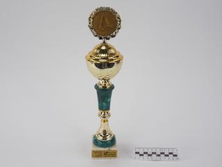 NAGRODA SPORTOWA PUCHAR STATUETKA