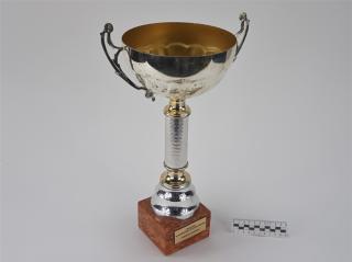 NAGRODA SPORTOWA PUCHAR STATUETKA