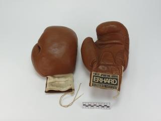 RĘKAWICE BOKSERSKIE