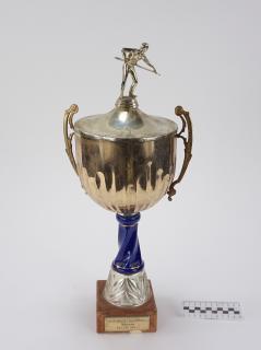 NAGRODA SPORTOWA PUCHAR STATUETKA