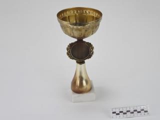 NAGRODA SPORTOWA PUCHAR STATUETKA