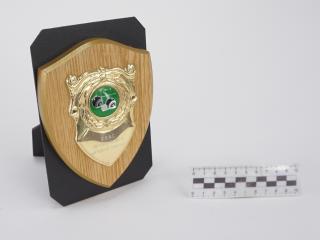 NAGRODA SPORTOWA PUCHAR STATUETKA