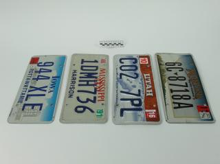 TABLICA REJESTRACYJNA AMERYKAŃSKA