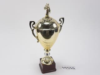 NAGRODA SPORTOWA PUCHAR STATUETKA