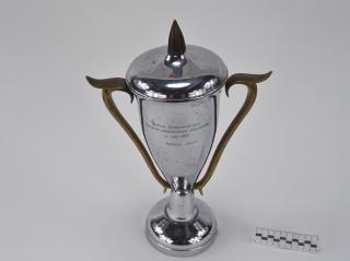 NAGRODA SPORTOWA PUCHAR STATUETKA