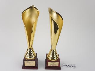 NAGRODA SPORTOWA PUCHAR STATUETKA